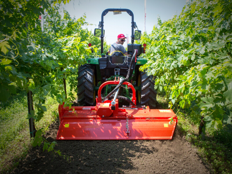 Por qué elegir SILVA